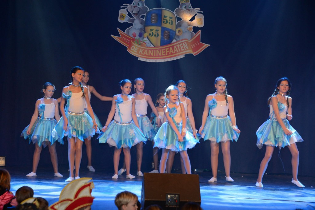 ../Images/Dansmarieke festival 2015 352.jpg